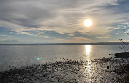 Ammerseeidylle im Herzen von Dießen - Foto 15