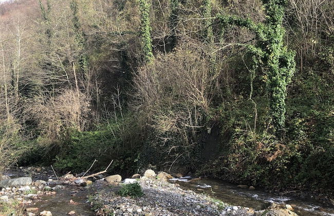 BLS Bungalove Sapanca - Foto 33