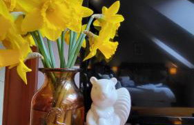 Red Squirrel Lodge - Foto 22