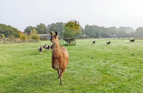 The Quail Cabin - Foto 25