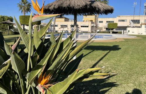 El mundo soleado - Foto 27