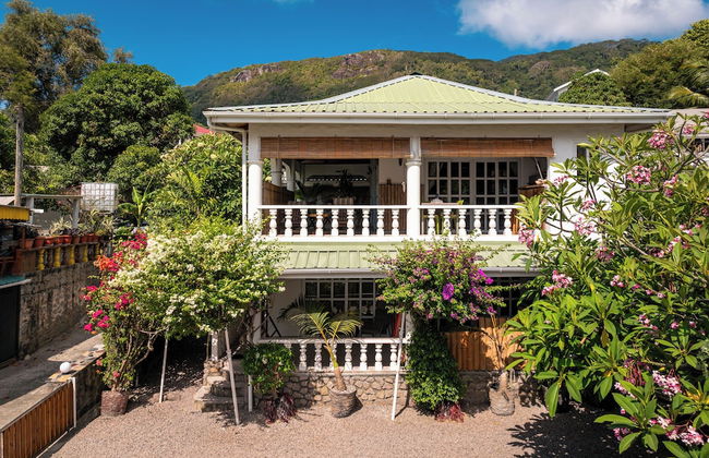 Beau Bamboo - Foto 1