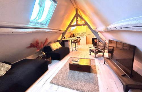 Le grenier des inities - Foto 9