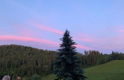 Ferienhaus Rotzinger - Foto 30