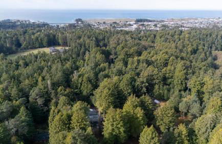 Serenity Grove - Foto 13