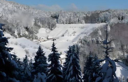 Holderstanzenhof - Foto 29