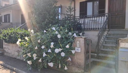 A Casa IDA - Foto 3