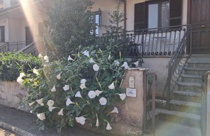 A Casa IDA - Foto 3