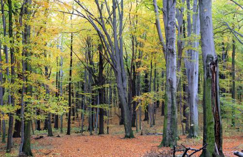 Villa Maria Rosaria - Foto 24