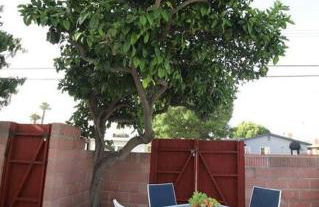 Disneyland close FAMILY home! - Photo 28