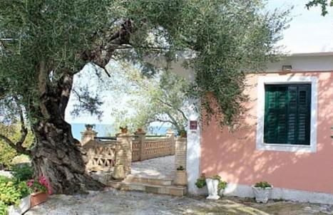 Tonias Houses - Thea House and Vrachos Attic Appartment - Foto 14