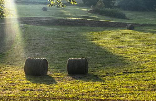 Natrural Budinjak, Zumberak - Photo 25