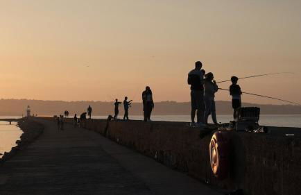 Quirky fisherman's cottage by the sea in Brixham - Photo 52