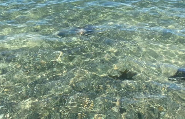 Cosy Annexe Sleeps 4 - Photo 21