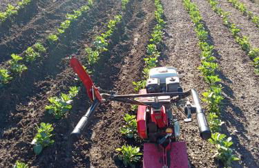 Agriturismo Cele - Foto 35