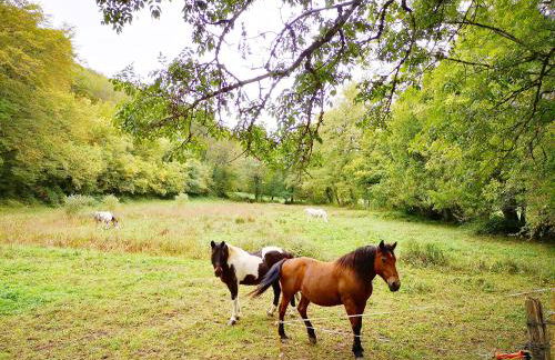 La Combe aux oiseaux - Photo 24