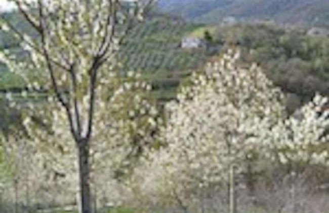 Casa Maya With Private Pool - Foto 25