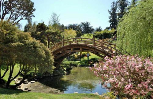 Cozy 2B1B Guest House with Private Entrance and Parking - Foto 44