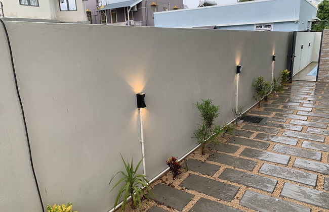 Les Olives - Photo 17