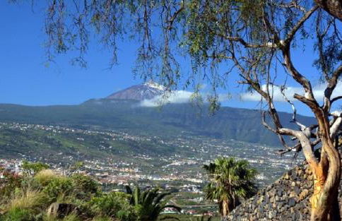 La Casita de Descanso - Das Häuschen der Ruhe - La Luz - La Orotava - Foto 51