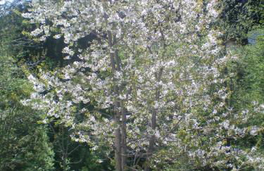 Villa Otto - Foto 20