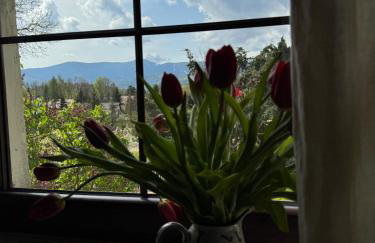 Czerwony Dworek 8 - Agroturystyka Karkonosze - Foto 44