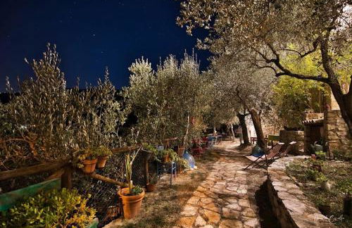 Guesthouse Runcini - Photo 33