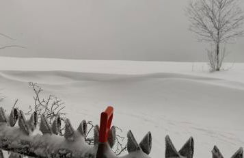 Ferienhaus VILLA ZAUBERBLICK am Rennsteig Frankenwald FREISTEHEND naturnah HUNDEFREUNDLICH eingezäunt - Foto 59