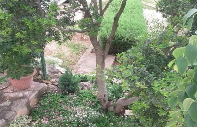 Apartments Smilje & Maslina - Foto 53