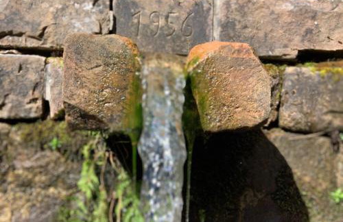 Hen-Coop Inn Appartement mit zwei Schlafzimmern & Netflix - Photo 24