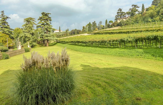 Il Vigneto, Verona, Pool, Wifi - Foto 54