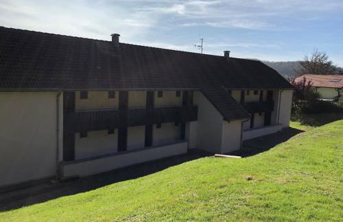 Duplex - Proche de Gérardmer - Foto 23