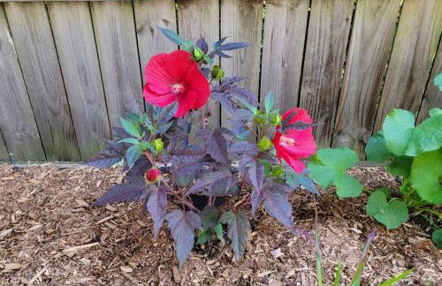 Peaceful Apartment - Foto 43