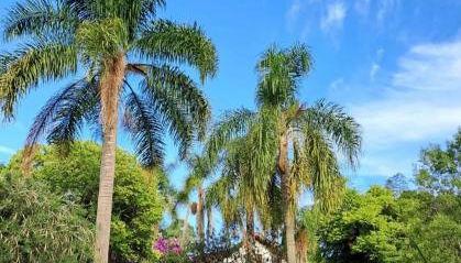 Residencial Varanda do Lago - Foto 3