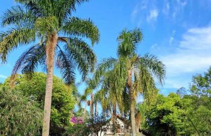 Residencial Varanda do Lago - Foto 3