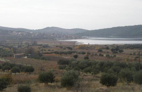 Maslina Apartment - Foto 34