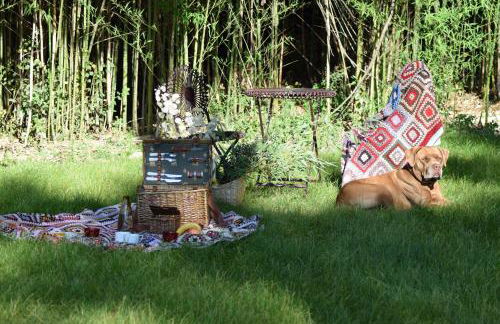 Villa La Ginestra - Charming Country Home - Foto 70