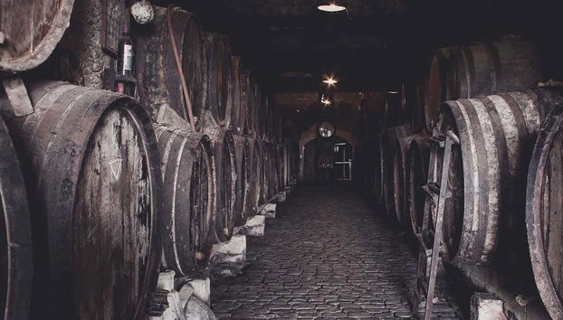 Sala de barricas de las bodegas Monje
