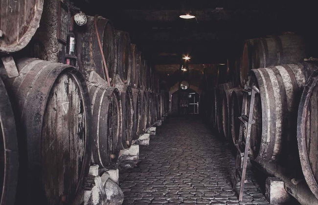 Visita a las bodegas Monje - Foto 4