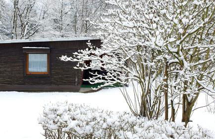 Blütenhaus im Rhododendronpark 5 min zum See - Foto 25