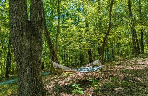 Coyote Cabin at Woodland Retreat at DeSoto beside DeSoto State Park - Foto 30