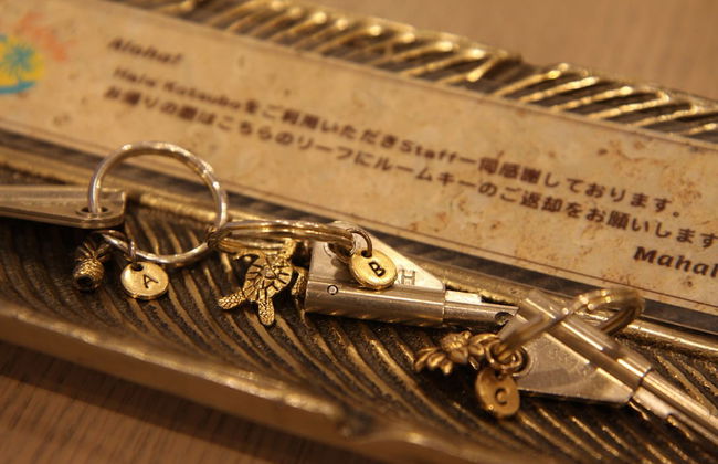 Hale Kotsubo - Foto 6