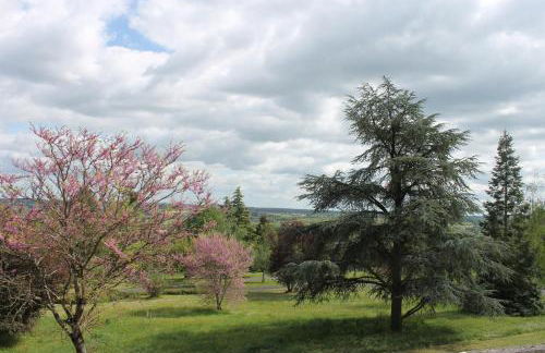 Studio Le Cosy - Foto 32