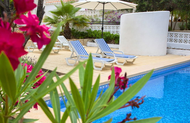 La Cigarra - Foto 17