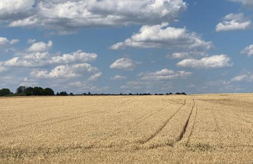 Ferienwohnung Lieblingsplatz in Aichtal-Grötzingen - Foto 8