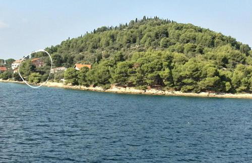 Apartment Pilatus Ošljak - Photo 15