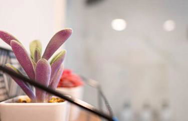 Artful Escape at Marietta Square - Foto 32