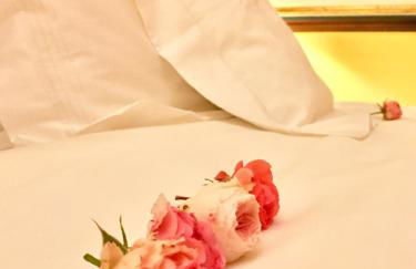 Casa da Alcacova - Santarém - Foto 1