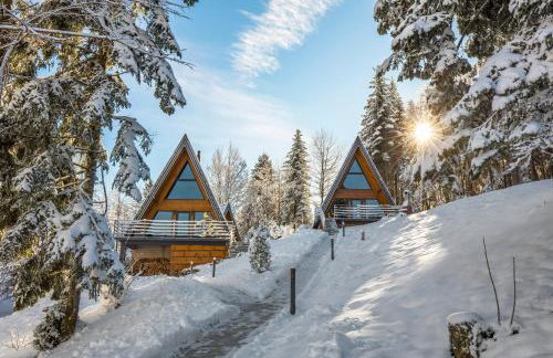 Gorska bajka - Tisa, planinska kuća za odmor i wellness - Foto 35