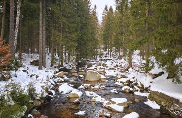 Apartament Górski Widok - Foto 53